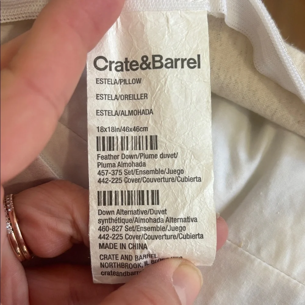 Pair of Crate&Barrel Watercolor Feather Down Pillows